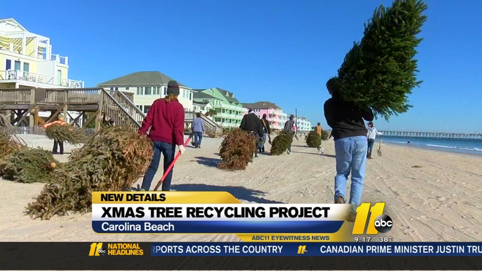 Christmas trees preserve Carolina Beach sand dunes ABC11 RaleighDurham