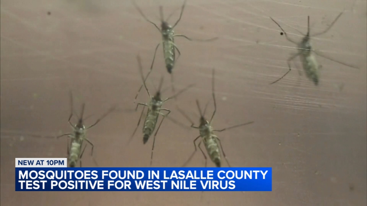 Mosquitoes test positive for West Nile Virus in LaSalle County