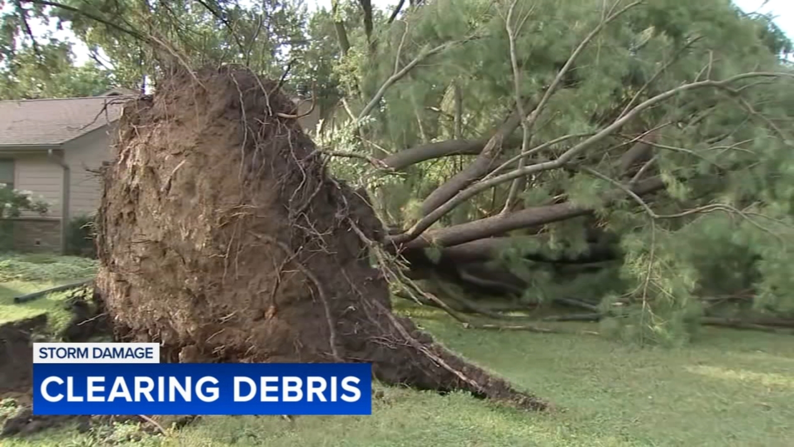 Chicago weather: Severe storms leave damage in parts of area amid Heat ...