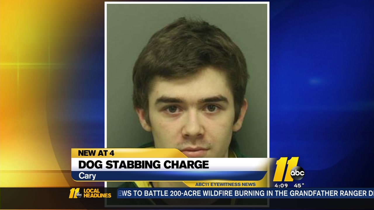 Cary teen charged in dog stabbing