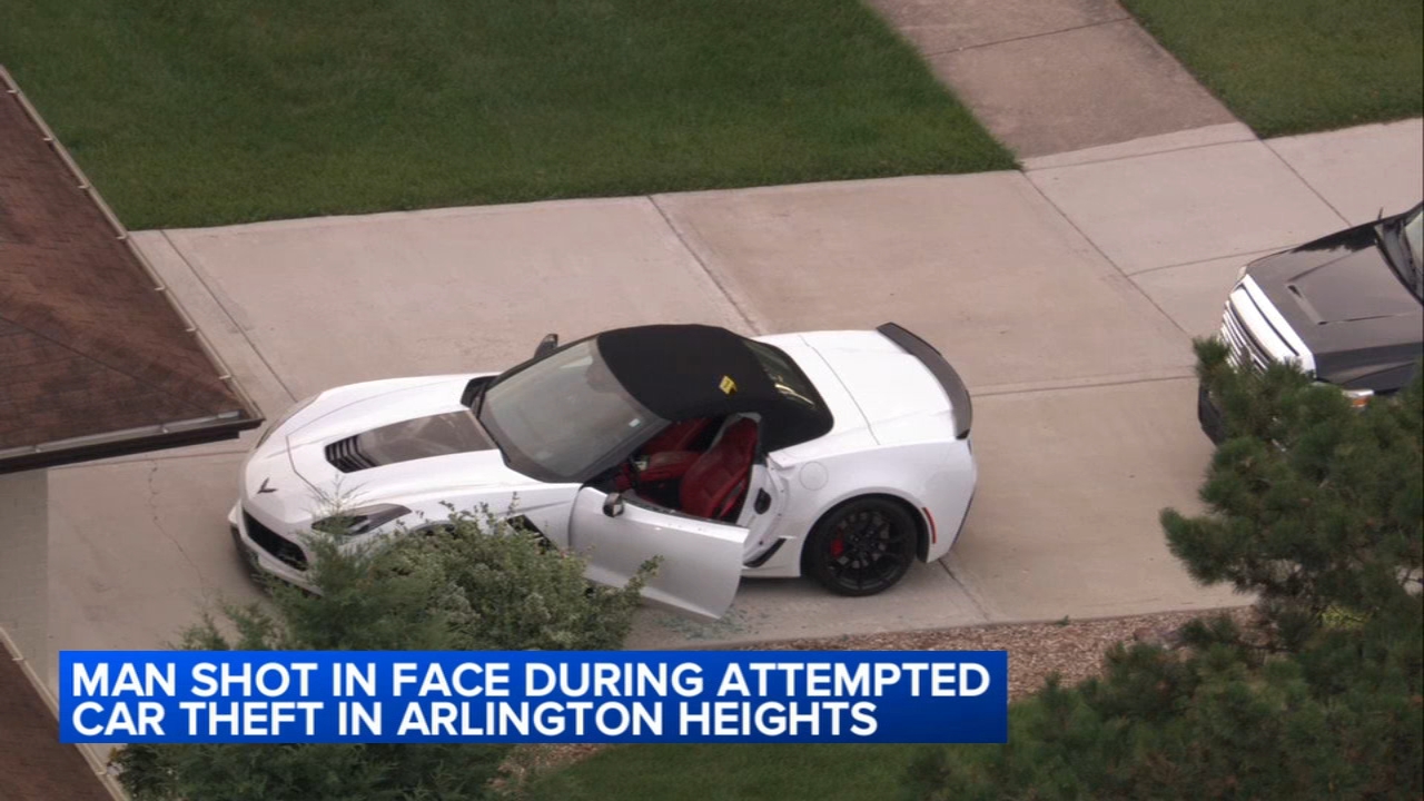 Man shot during attempted car theft in Cook County: police, witnesses