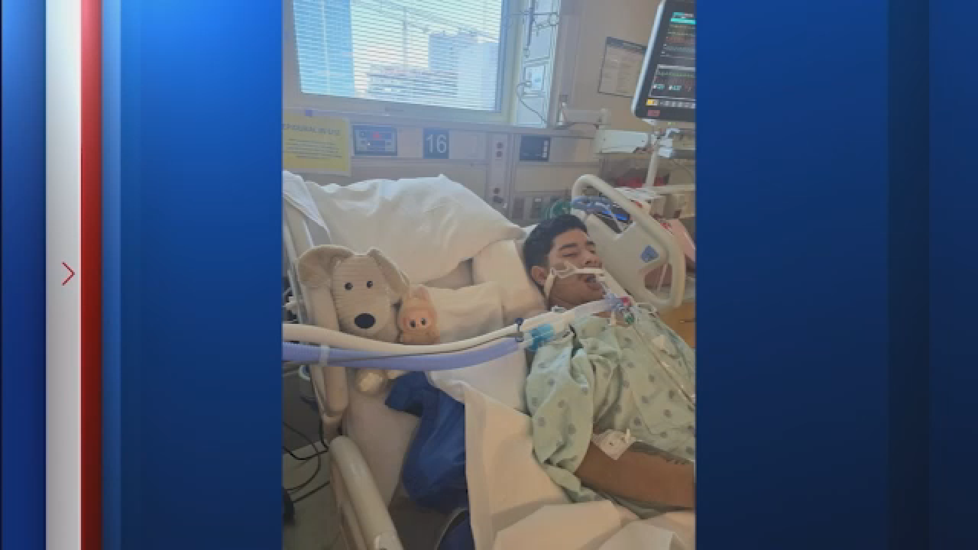Family seeks justice after HPD says 18-year-old shot while burying pet