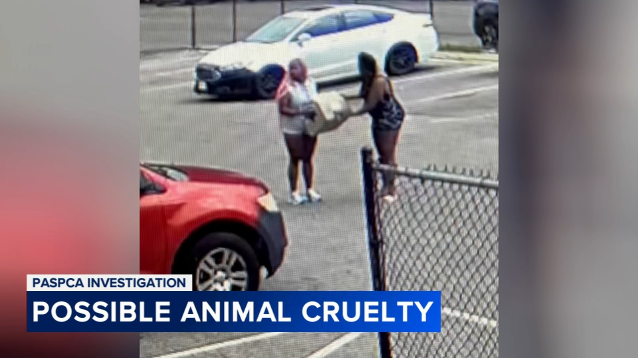 Suspects wanted for leaving critically ill puppies outside ACCT Philly