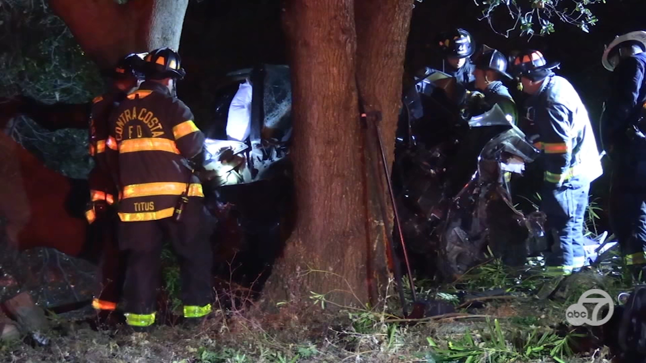 1 killed after car crashes into tree along East Bay freeway: officials