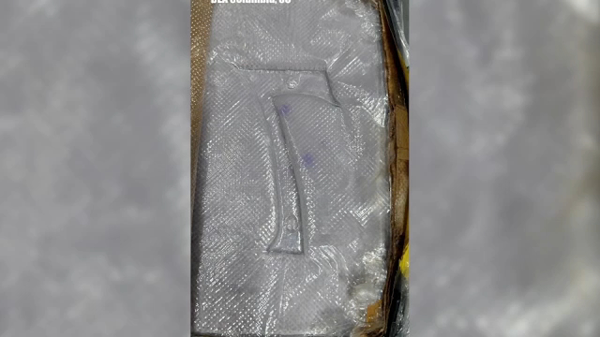2 brothers indicted in biggest SC fentanyl bust