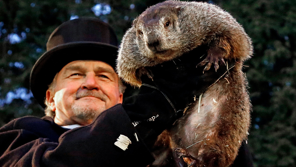 Punxsutawney Phil sees his shawdow!