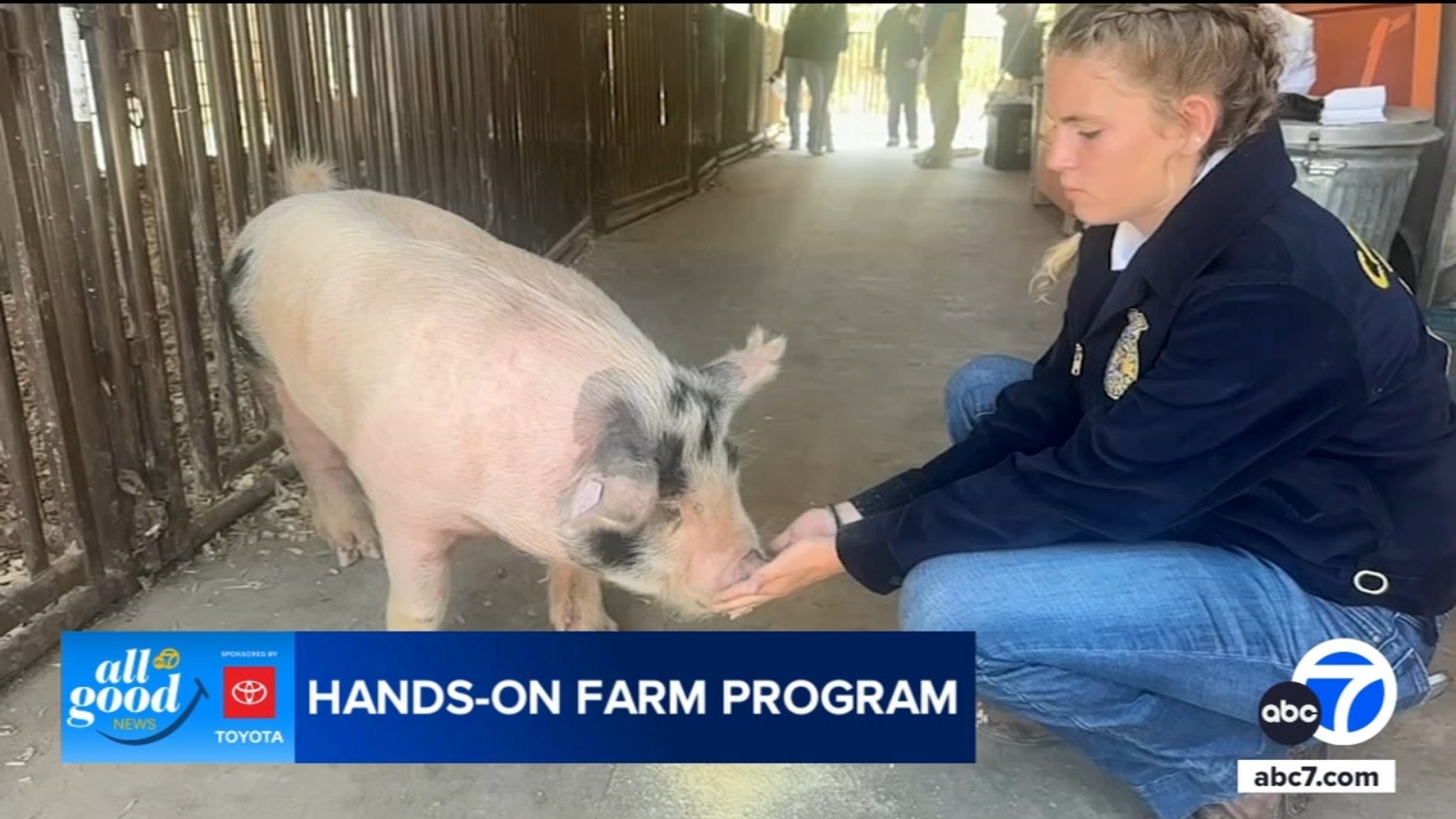 Students in Camarillo get hands-on experience, education raising animals at on-campus farm