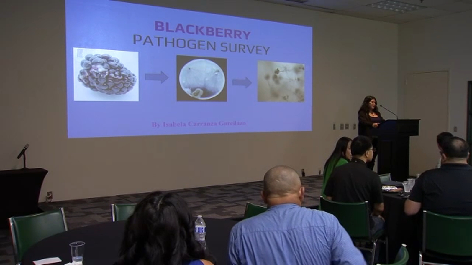 High school students showcase their summer research projects in Agriculture