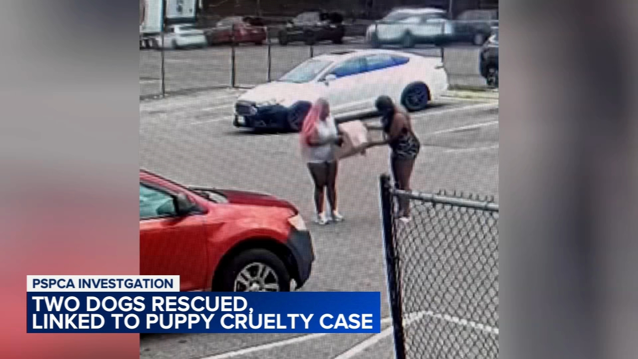 PSPCA rescues 2 more dogs in connection with abandoned puppies case