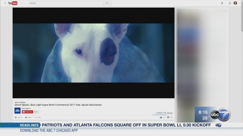 Square Bowl Youtube