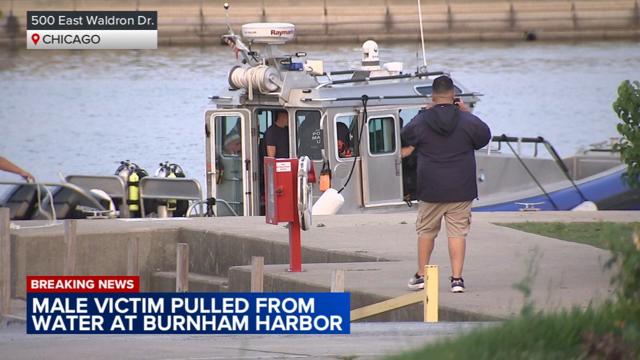 Person dies after being pulled from water at Museum Campus: CPD