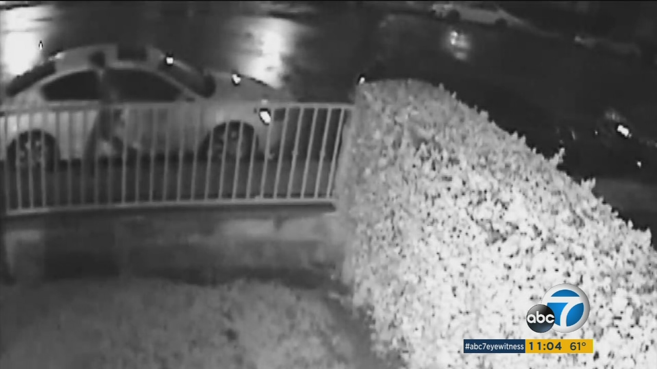 Suspect slashes dozens of tires in Van Nuys