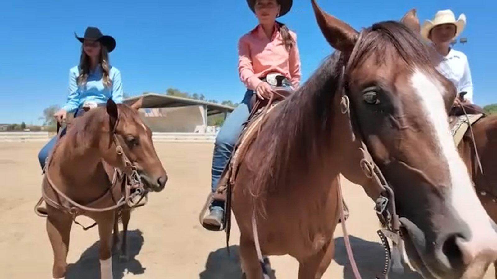 Clovis horse reining team sends record number of rookies to prestigious competition in Las Vegas
