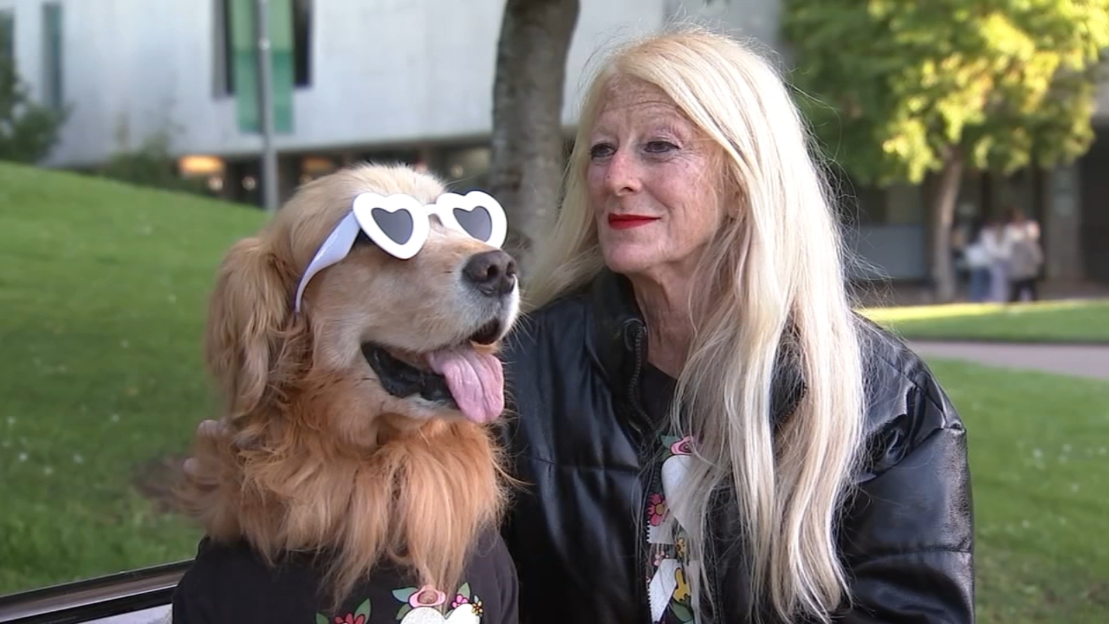 Famous Bay Area therapy dog in need of help after being diagnosed with cancer