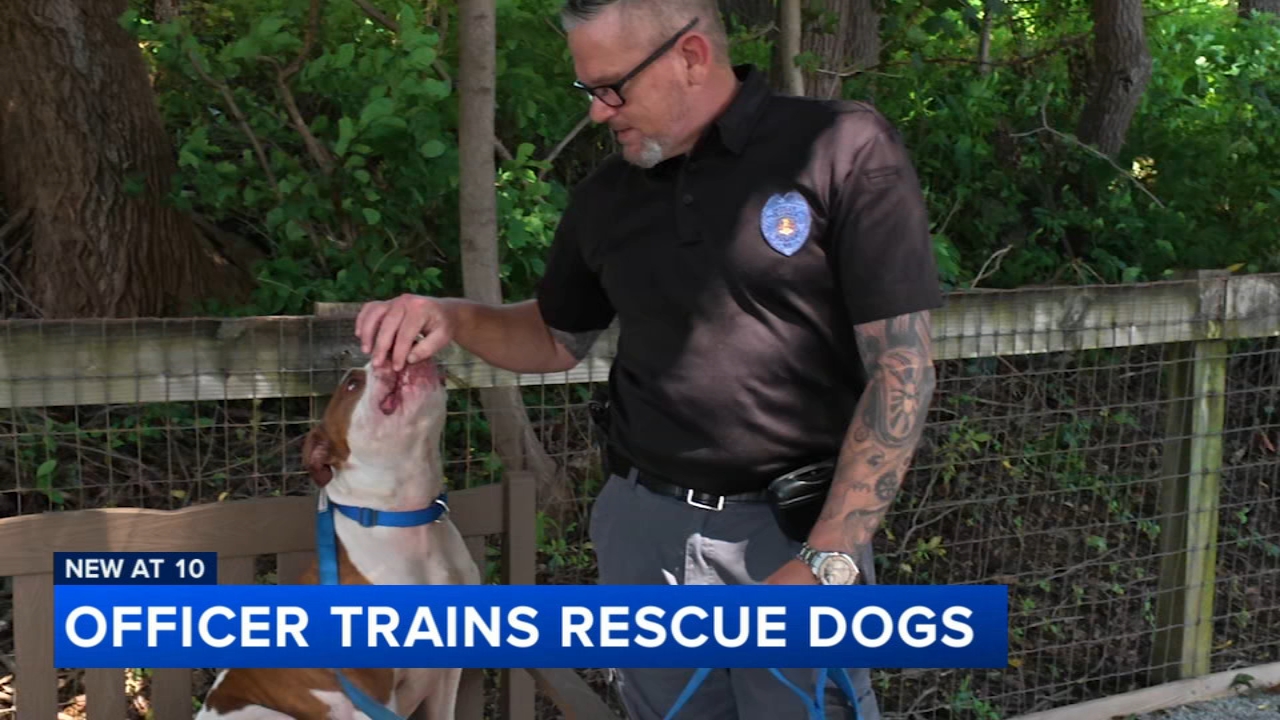K9 officer trains rescue dogs for adoption