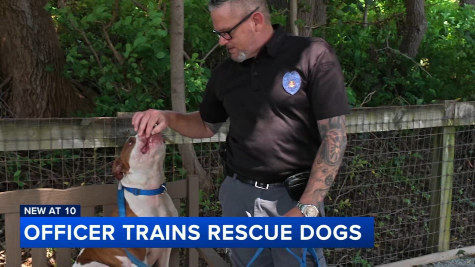 Delaware County K9 officer trains rescue dogs to help them find find forever homes