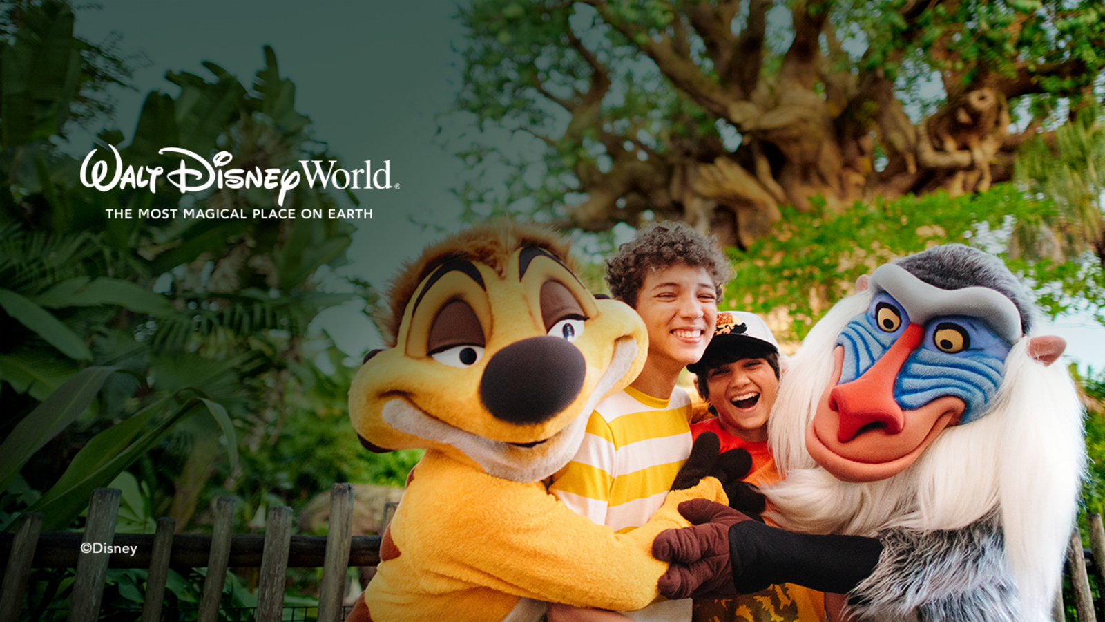 Disney World Commercial Summer Vacation | TikTok, image size:1600x900