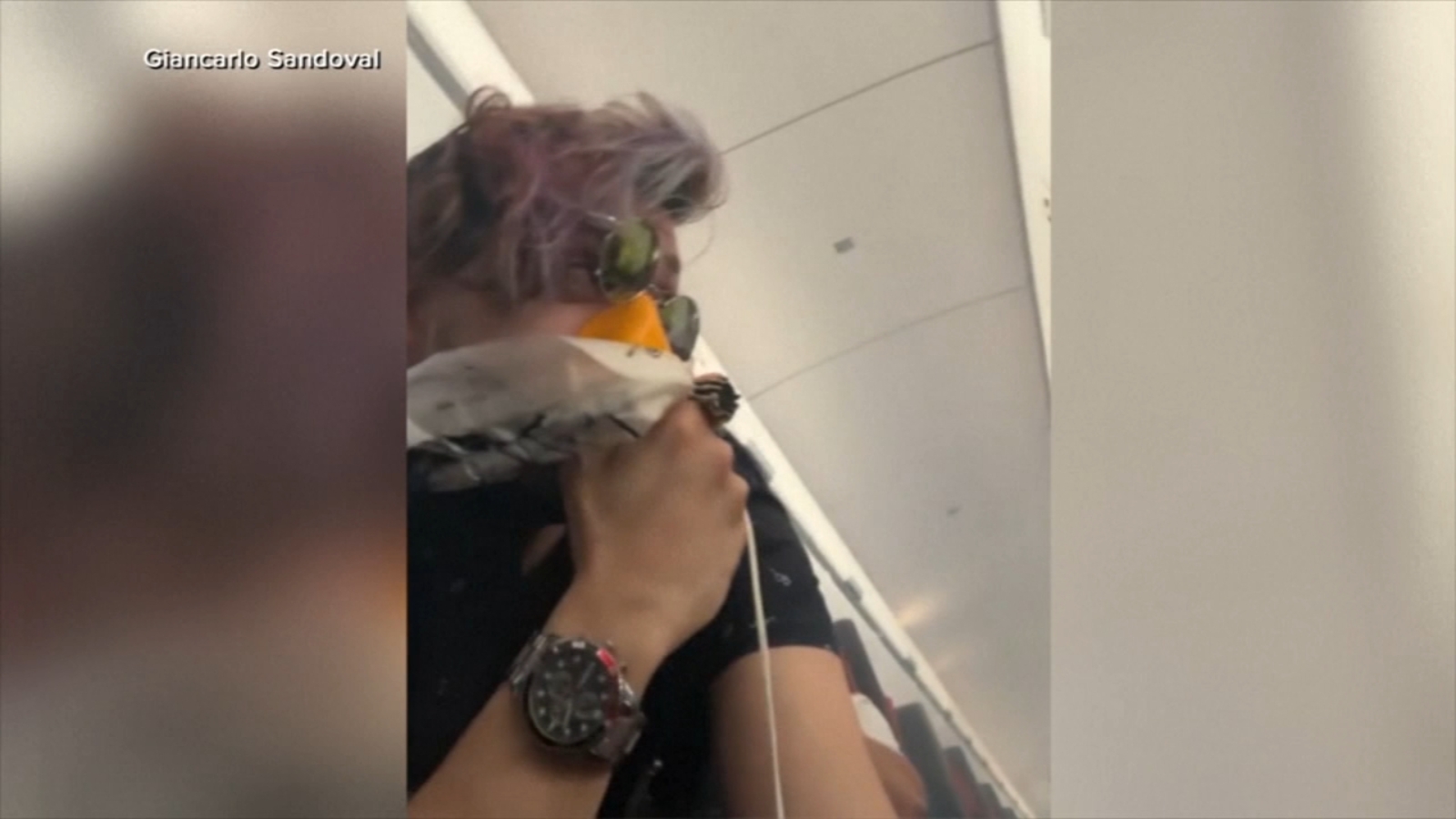 Bird strike forces emergency landing as smoke fills cabin, chaotic video shows