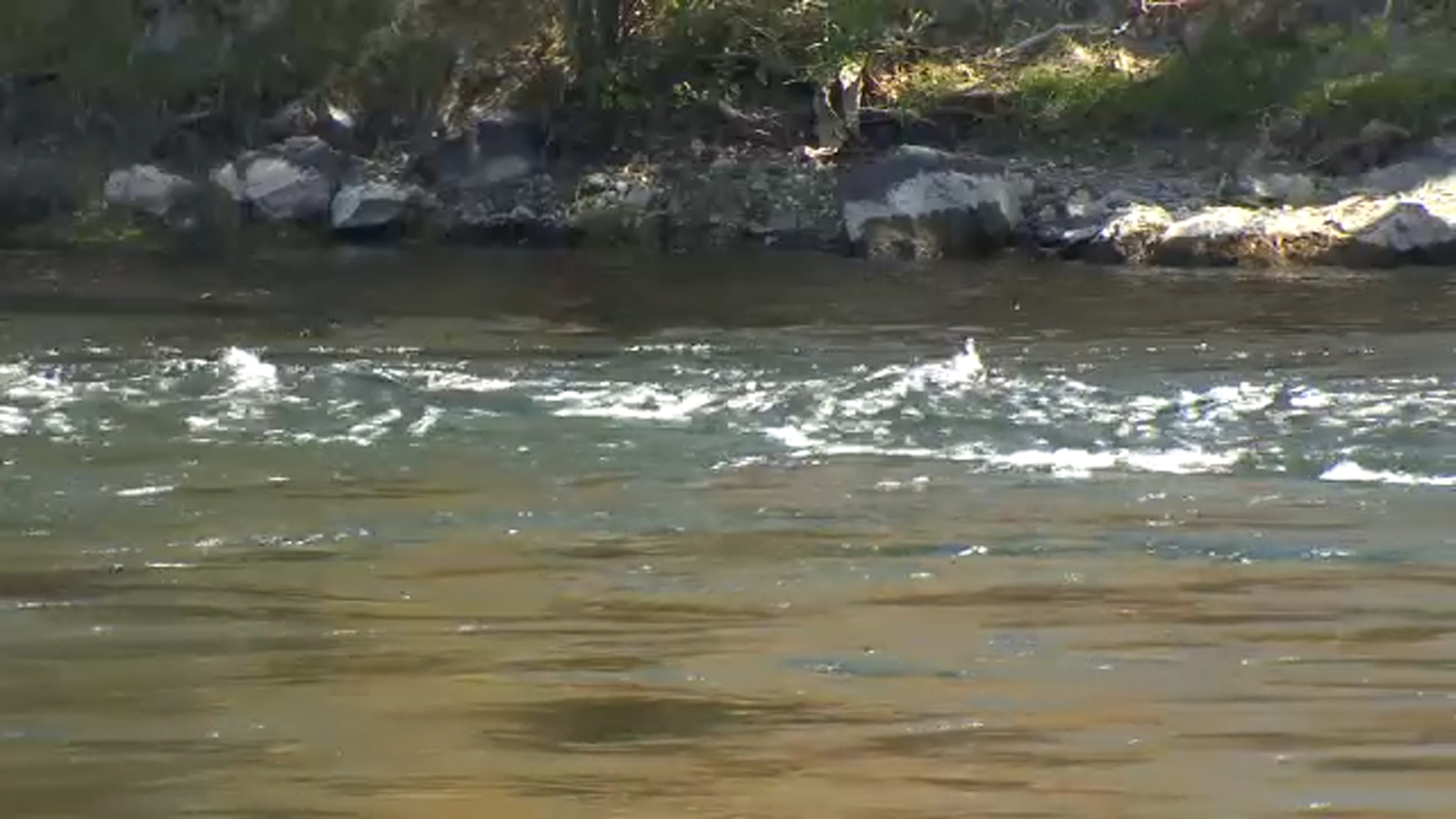 Man who drowned in Kings River at Winton Park identified