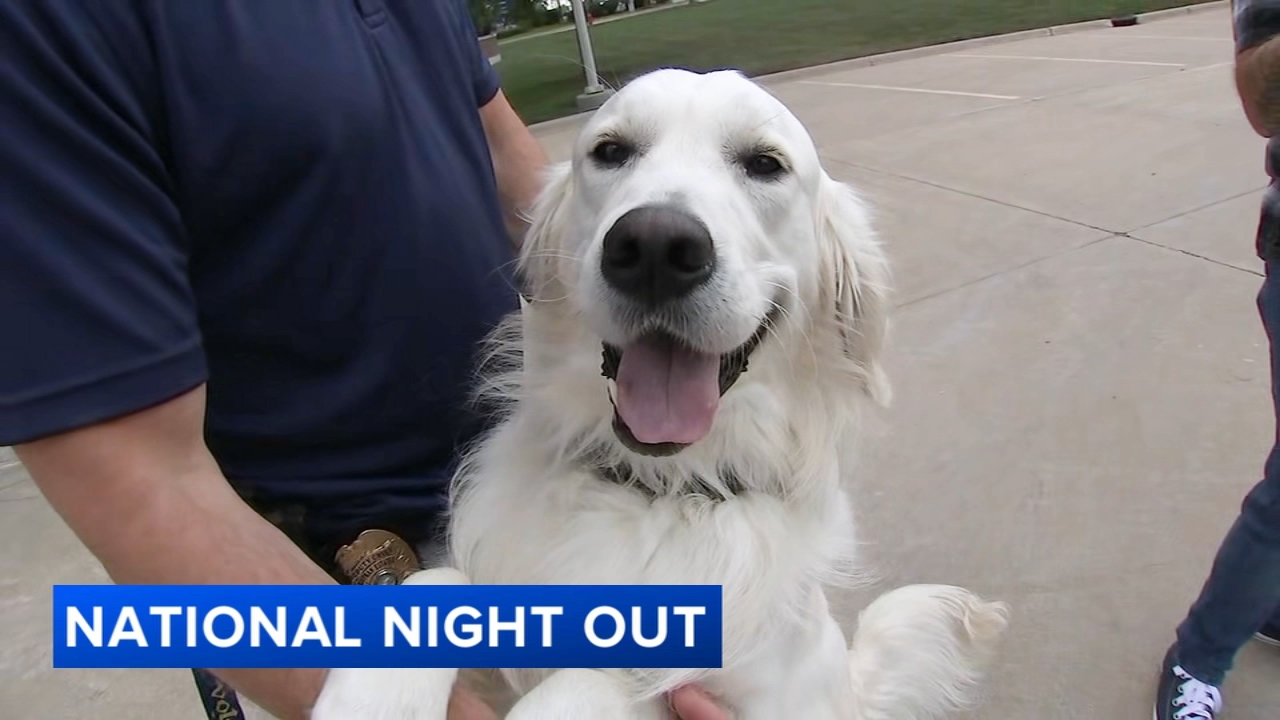 Suburban police departments host events to strengthen community relationships
