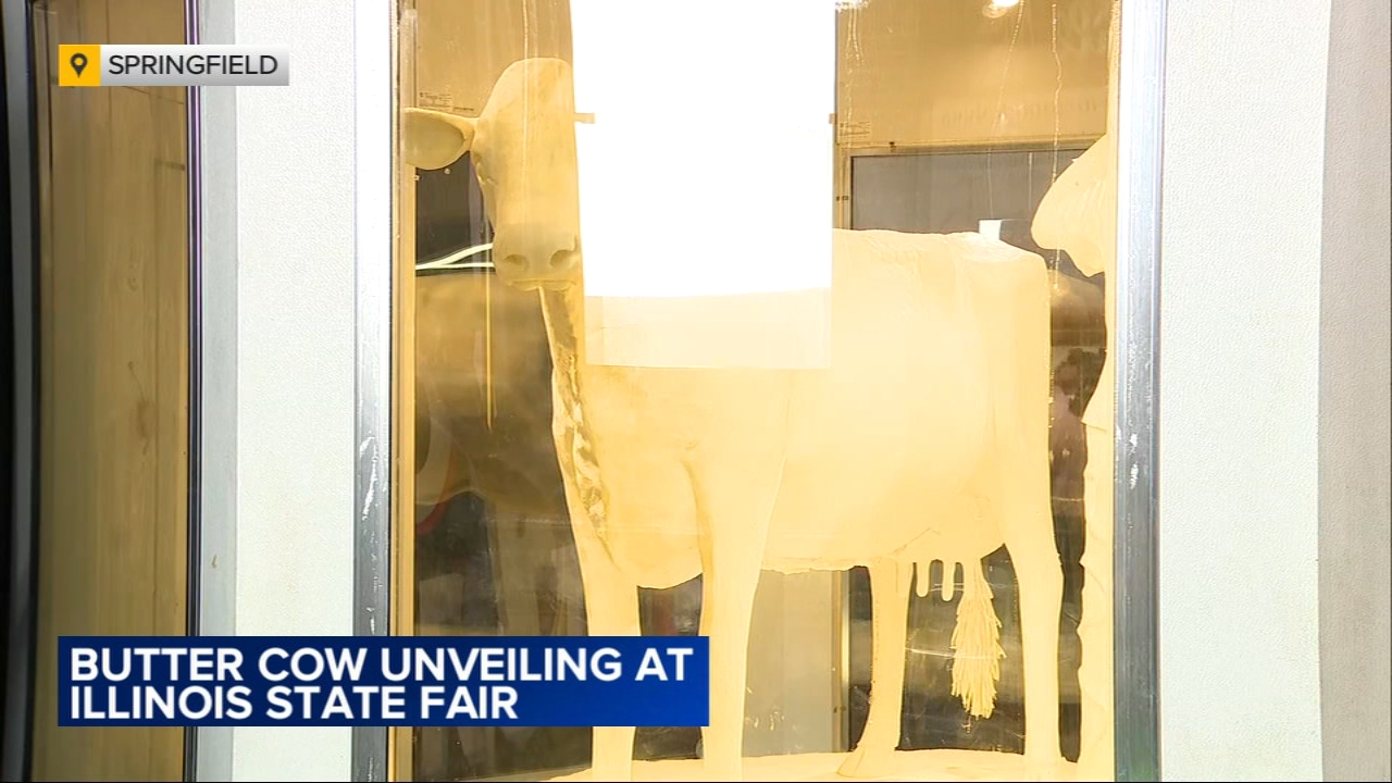 Butter Cow sculpture unveiled for 2025 Illinois State Fair