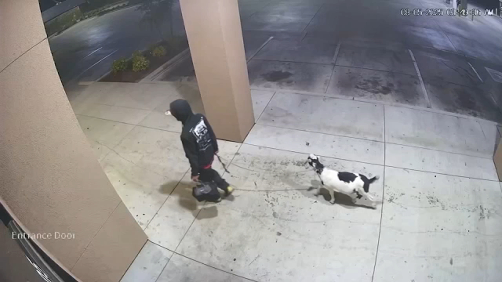 Man with goat breaks into west central Fresno restaurant