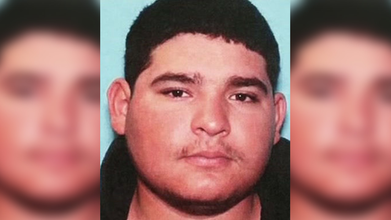 Man accused of killing dog with a machete