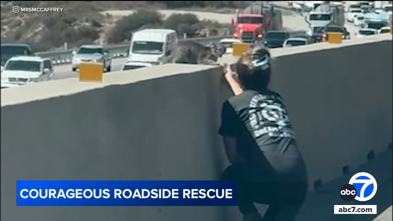 Mom rescues cat from the middle of the Cajon Pass, video shows