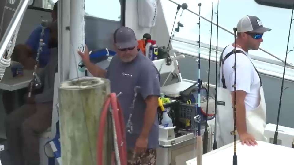Fishermen catch massive shark off Connecticut coast