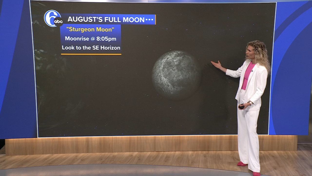 17472592_080825-wpvi-sturgeon-