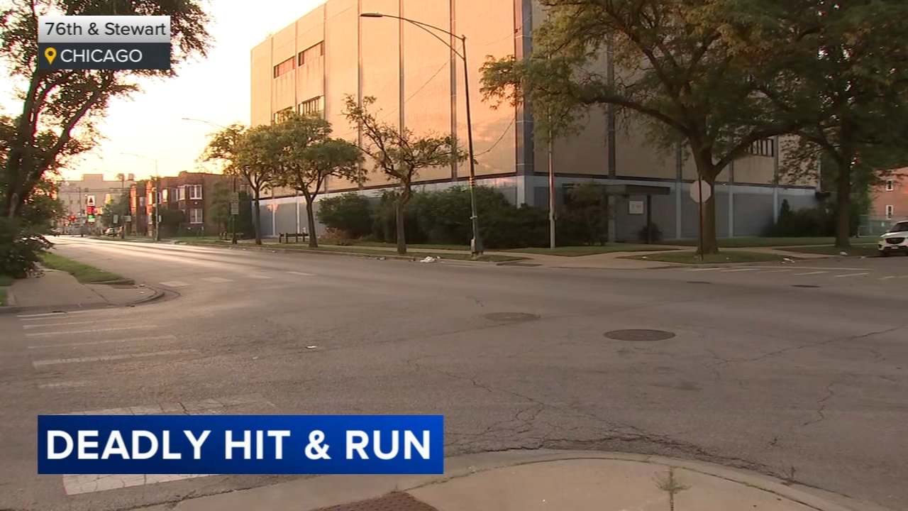 Chicago police investigating deadly hit-and-runs