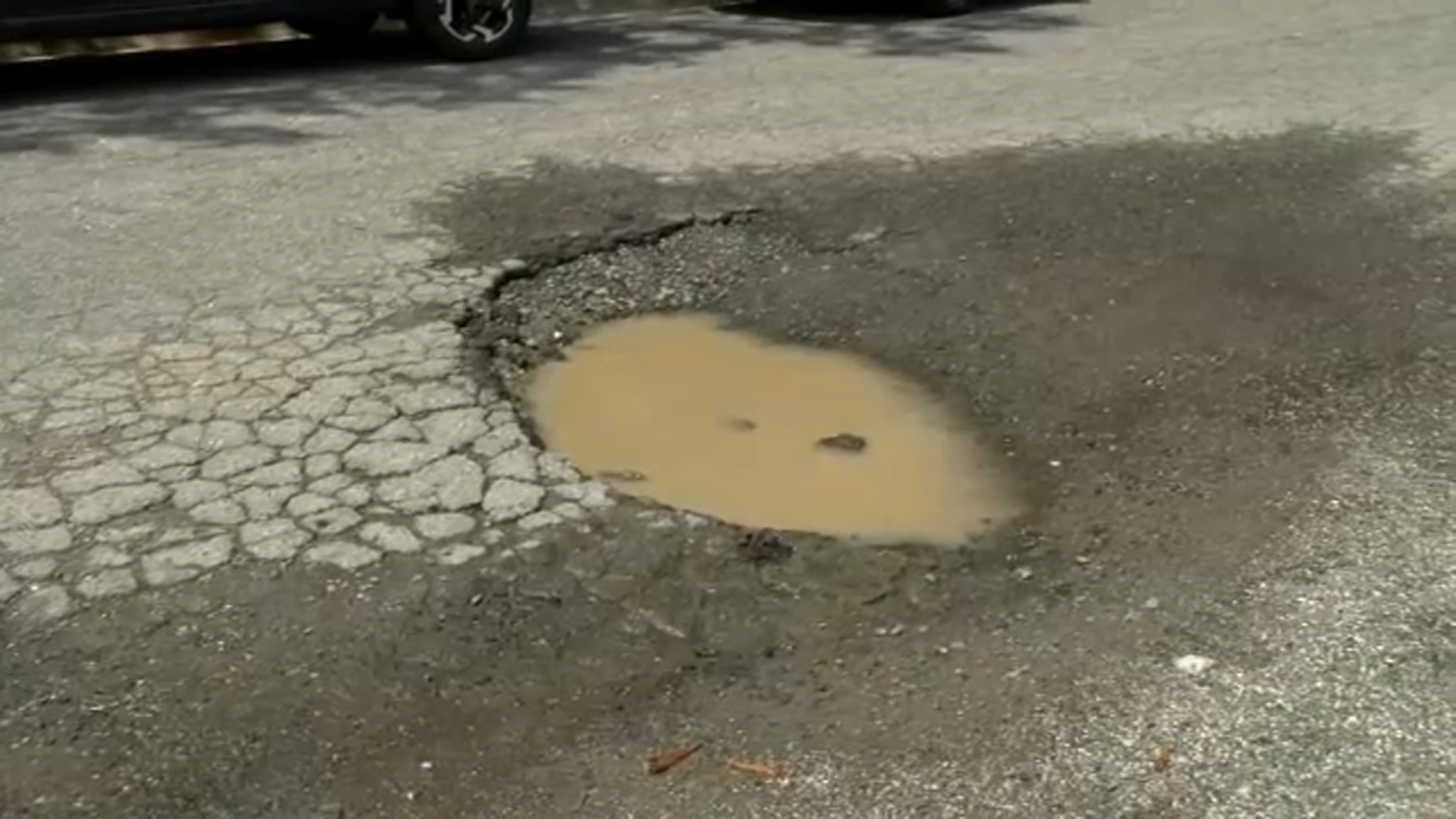 Potholes are a major concern for Cornwallis Road residents.