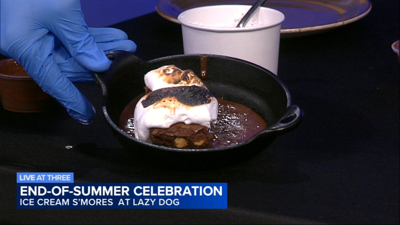 Multiple US Cities Host Annual Dog Days of Summer Festivals