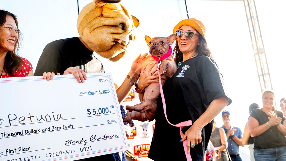 Petunia takes crown at World's Ugliest Dog Contest in Sonoma Co.