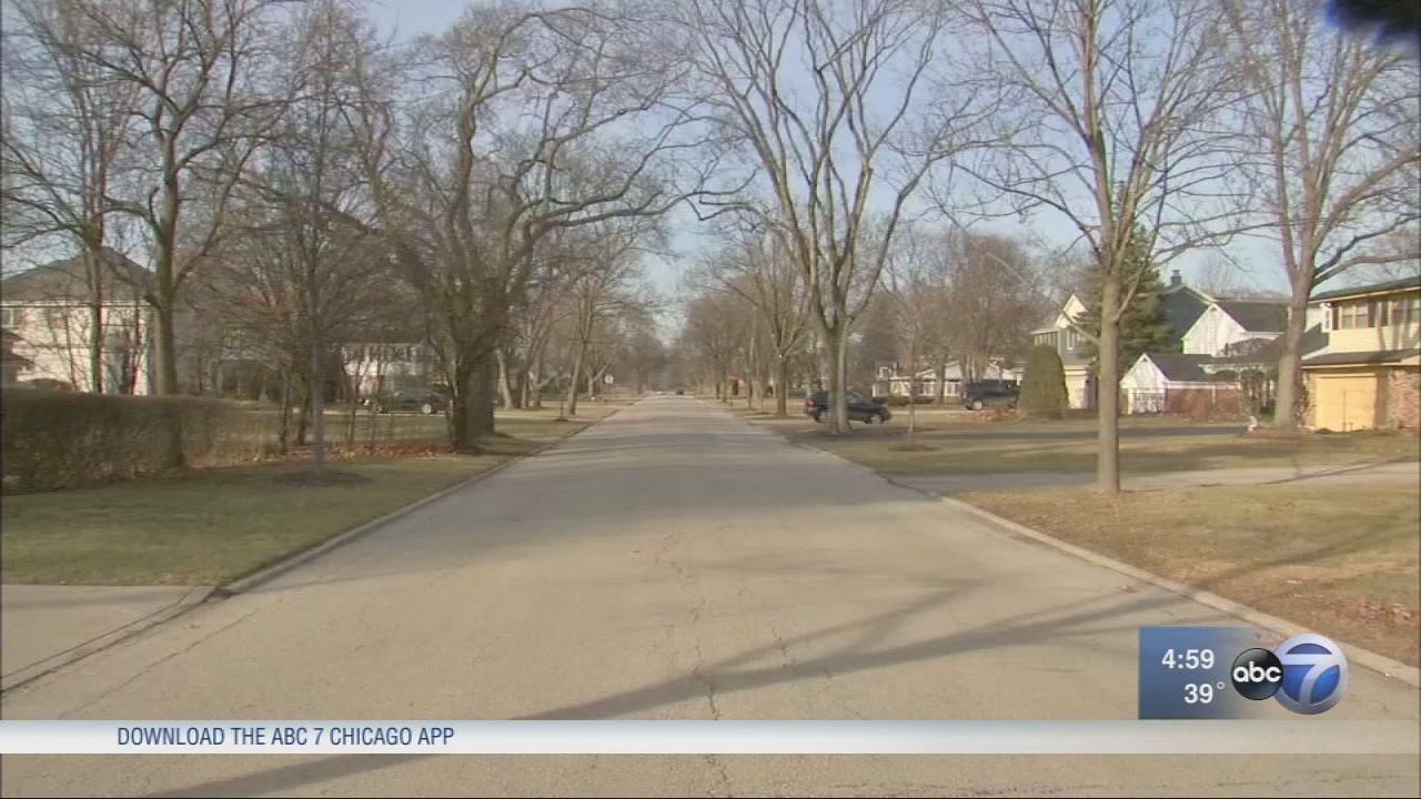 Girl, 17, carjacked in her driveway in Western Springs