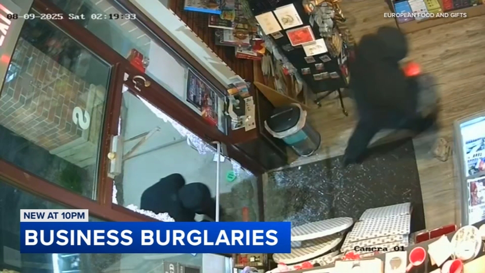 Small business burglary spree caught on video in north suburbs