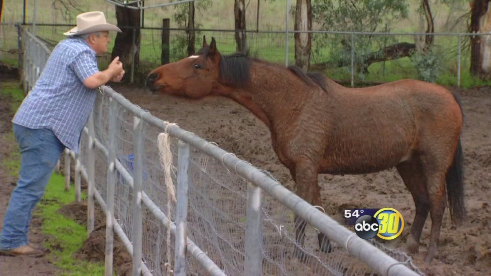 Clovis horse therapy ranch asks for community help during storm season