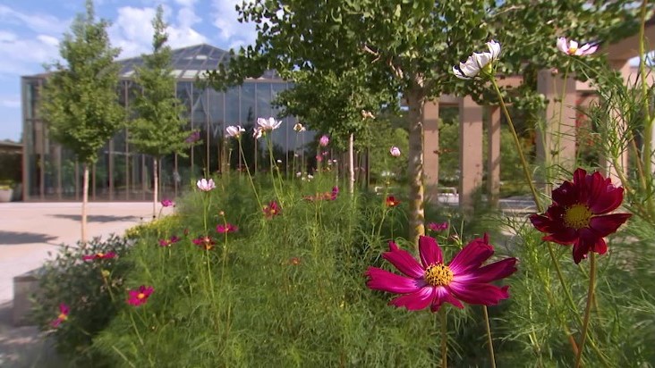 Longwood Gardens reimagined puts design and discovery in focus