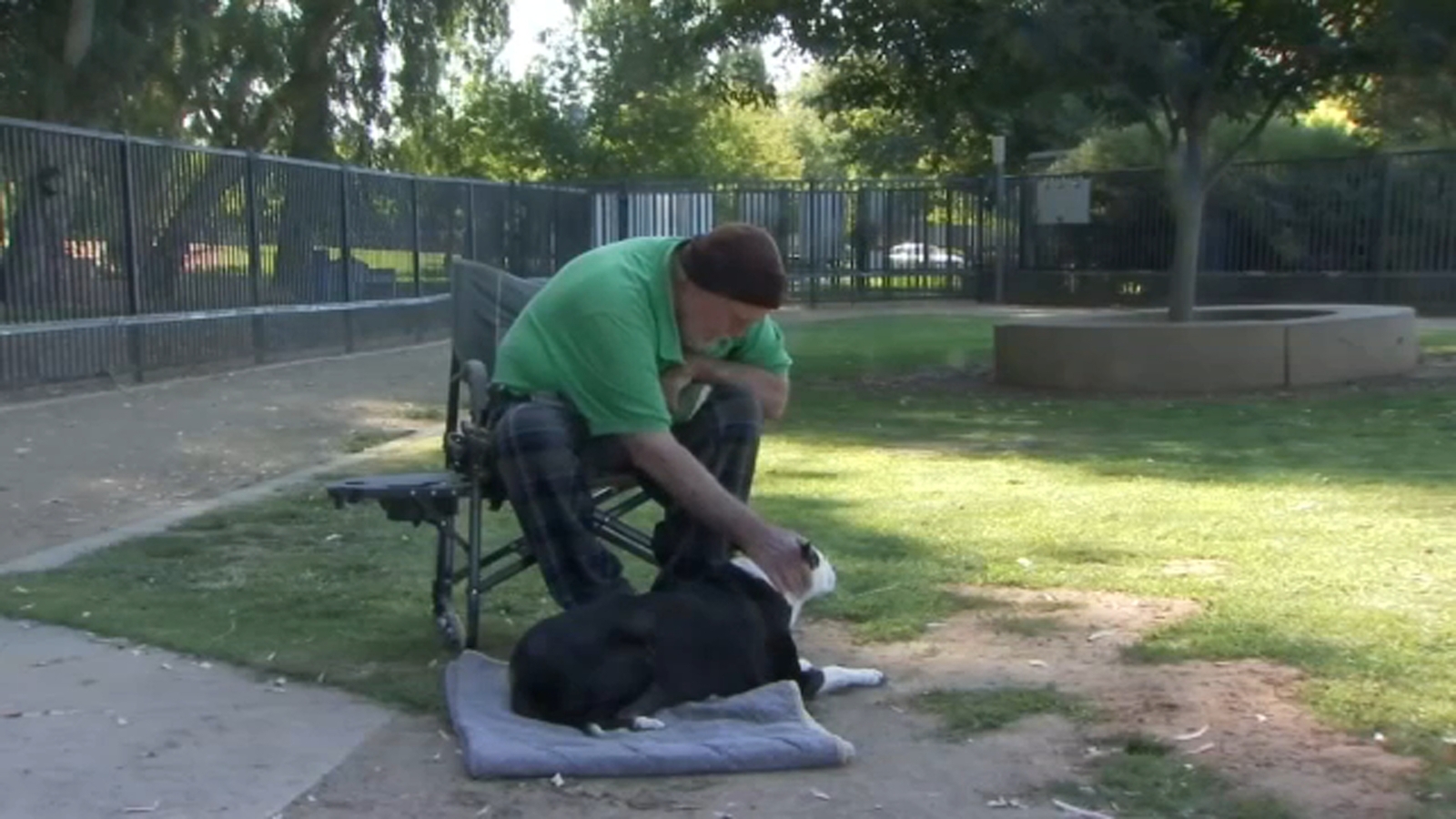 Keeping Your Pets Safe in Extreme Heat
