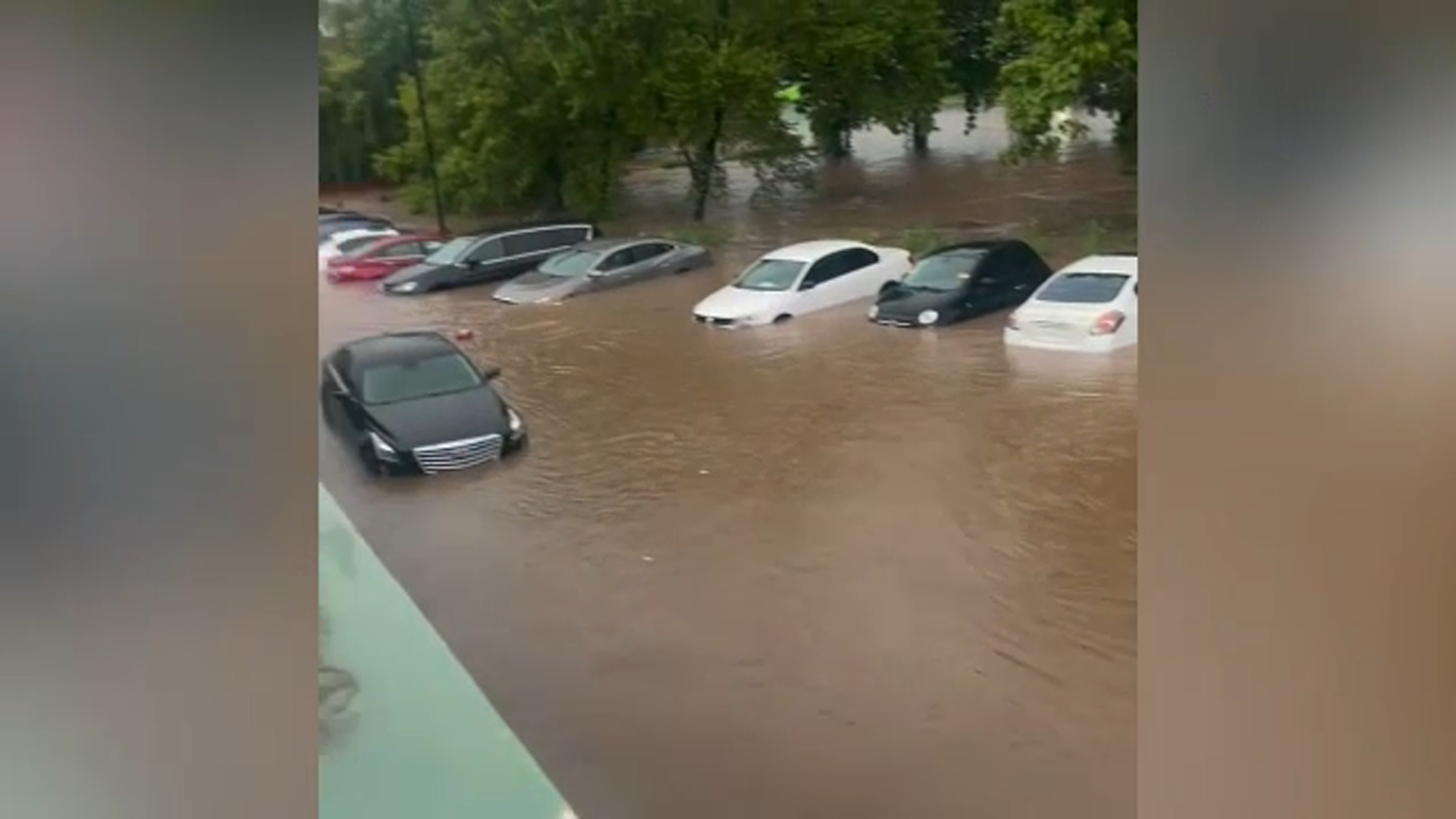 Anna Asif ha diluito questa immagine delle auto del suo commerciante di Taşkın Su lunedì.