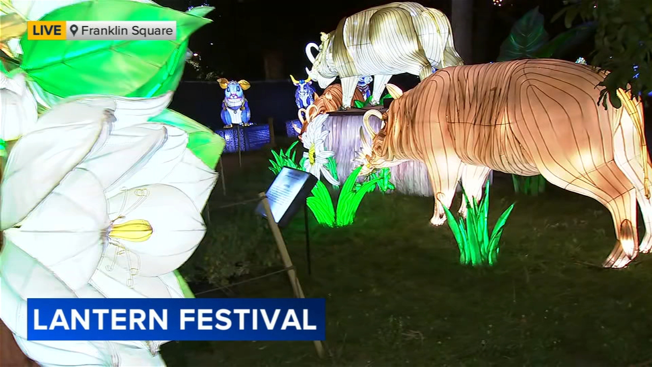 Cecily Tynan tours the Philadelphia Chinese Lantern Festival