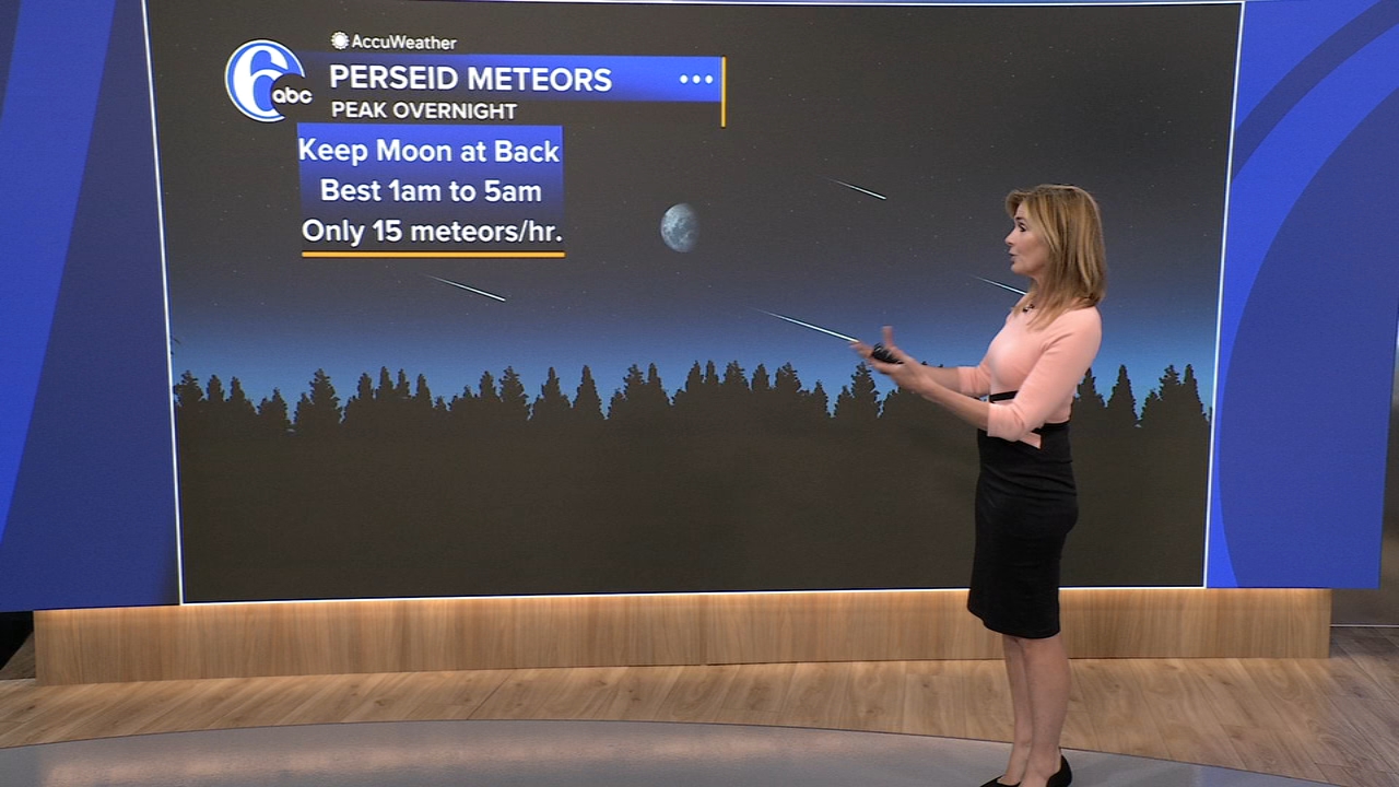 17513182_081225-wpvi-persids-