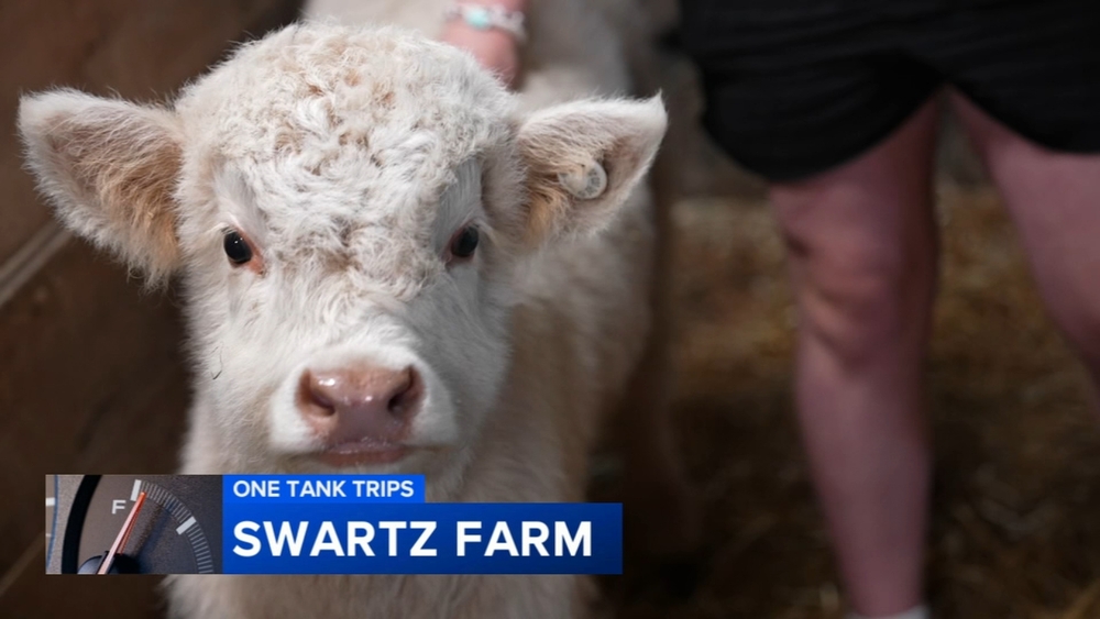One Tank Trips: Swartz Farm blends adorable animals with agriculture education