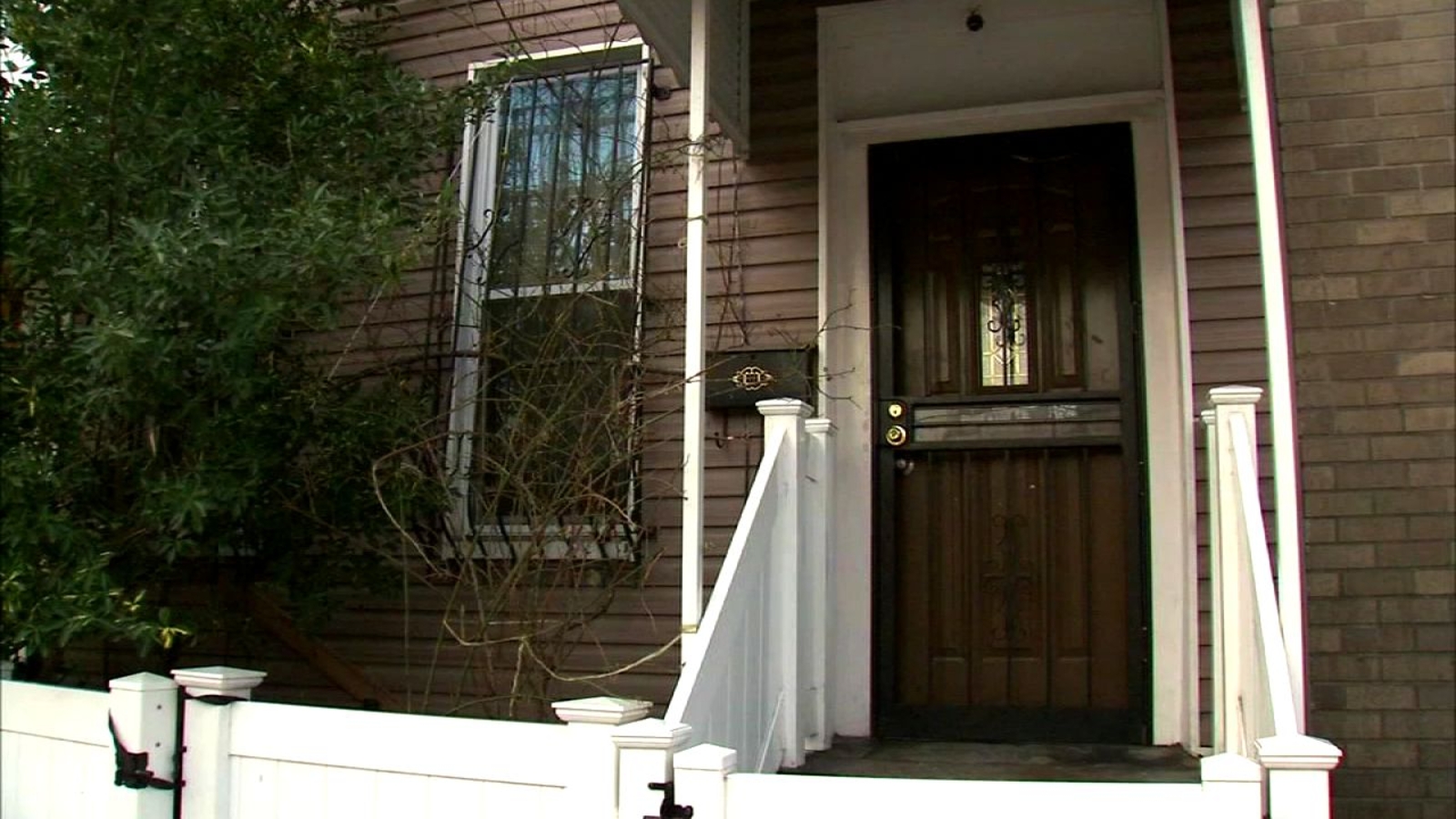 Officials: 'Aggressive' dog attacks, kills elderly woman in Queens ...