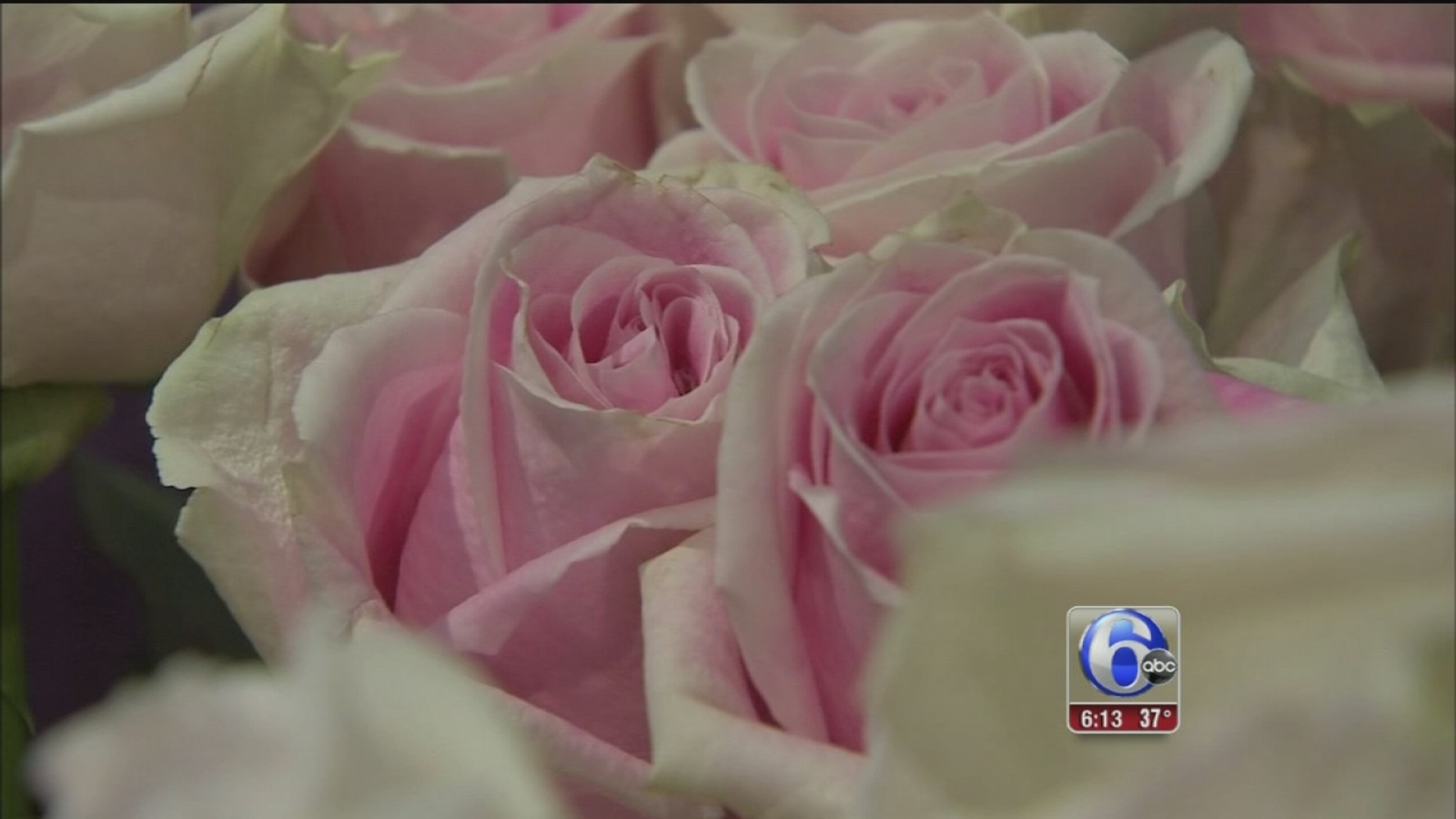 Etiquette tantra Shopping for Valentine's Day favorites - 6abc Philadelphia