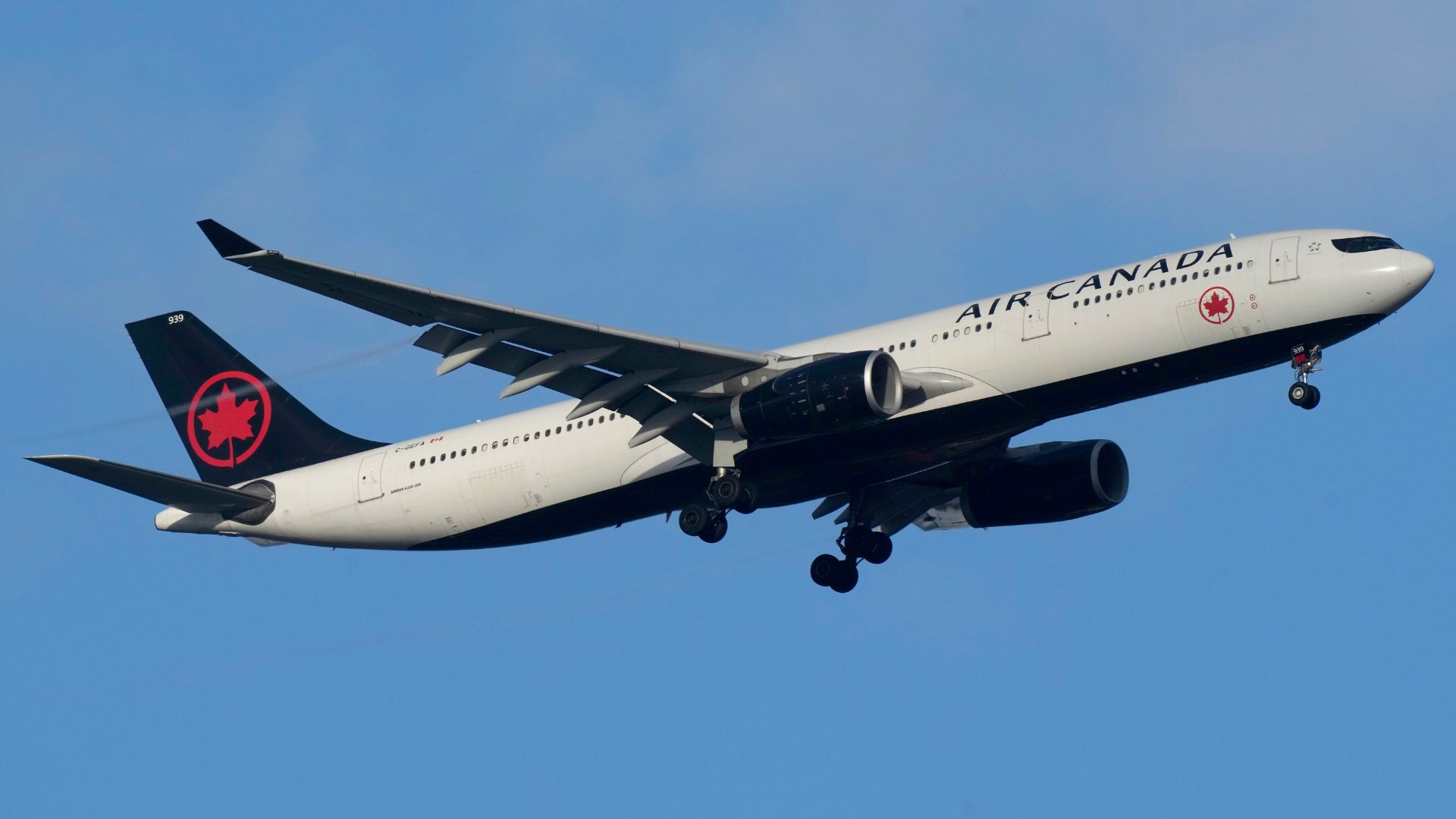 United Airlines animal transport service cares for pets during layovers at  OHare Airport - ABC7 Chicago