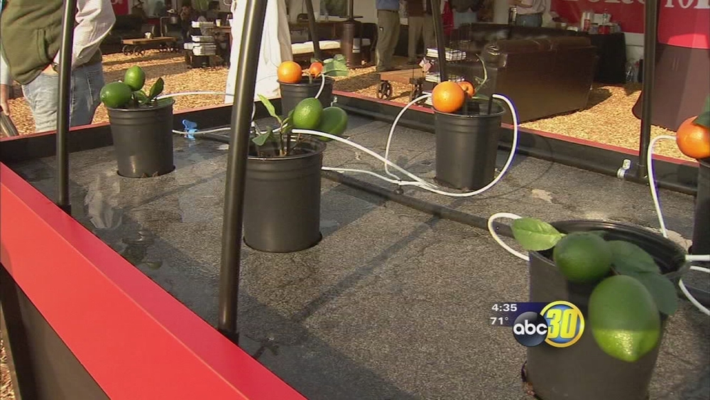 Tulare World Ag Expo showcases how irrigation techniques have evolved over 50 years