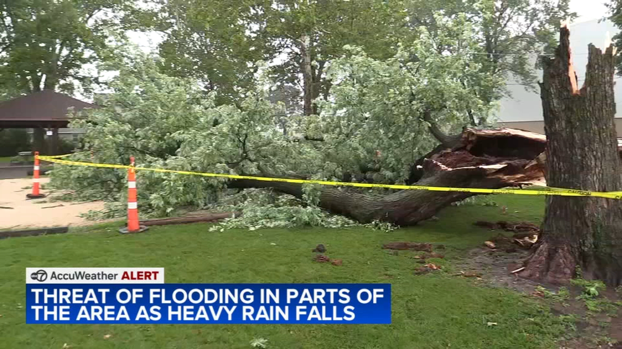 Storms flood streets, down trees and power lines in Chicago area