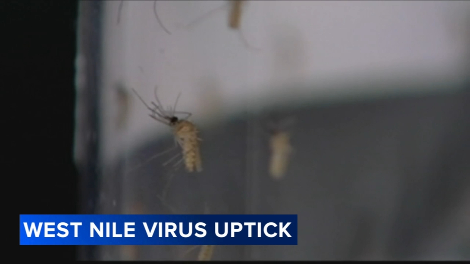 Delaware County sprays for mosquitoes after West Nile virus detected