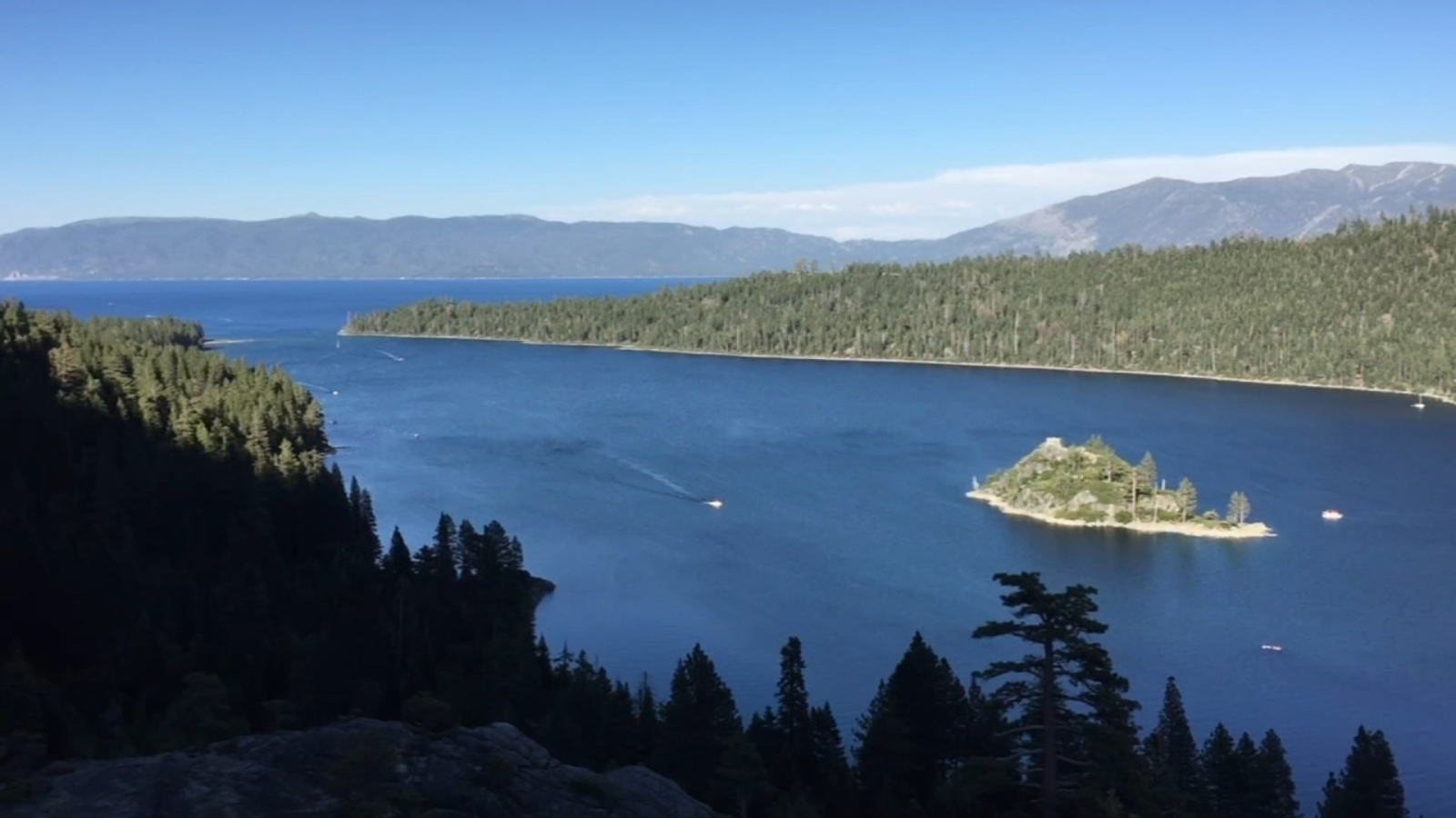 South Lake Tahoe resident tests positive for plague, likely from flea bite: health officials